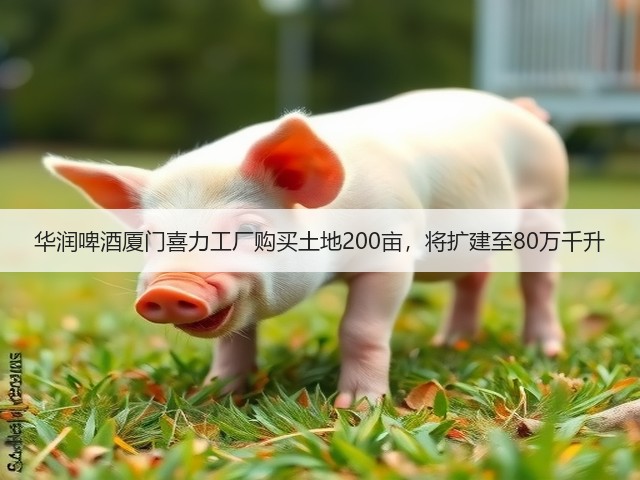 华润啤酒厦门喜力工厂购买土地200亩，将扩建至80万千升(图4)