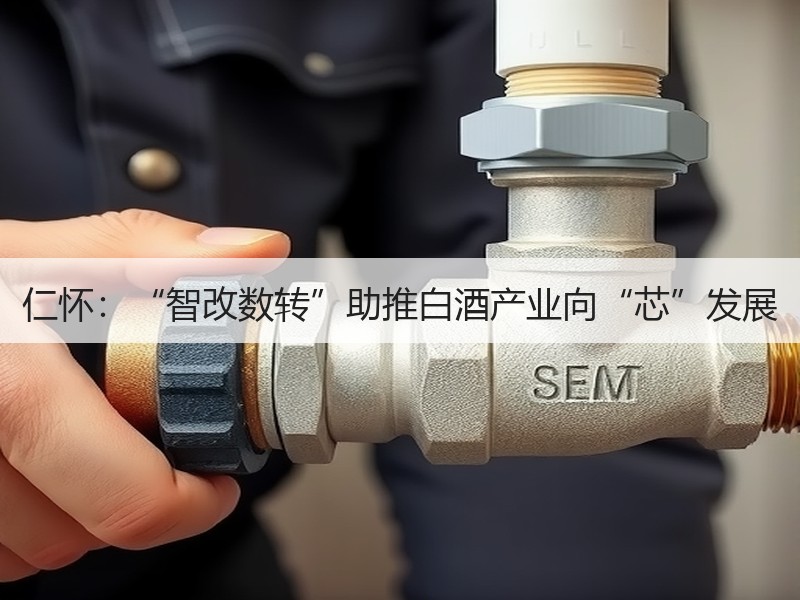 仁怀：“智改数转”助推白酒产业向“芯”发