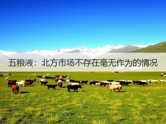 五粮液：北方市场不存在毫无作为的情况(图2)