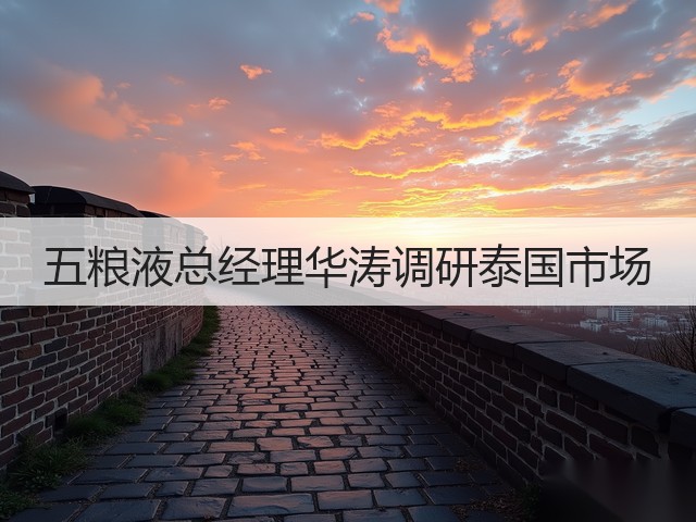 五粮液总经理华涛调研泰国市场(图2)