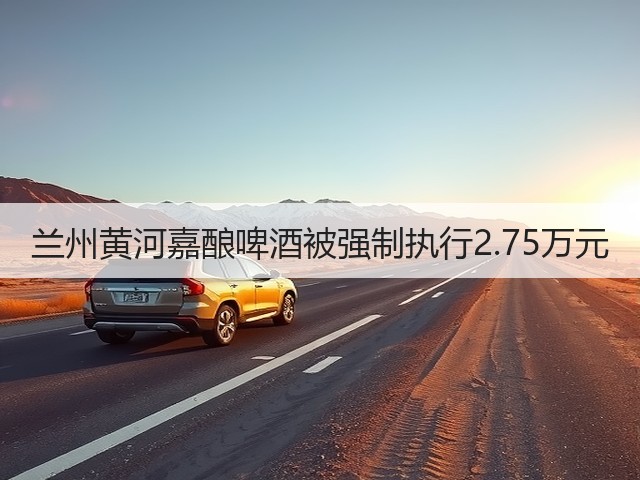 兰州黄河嘉酿啤酒被强制执行2.75万元(图4)