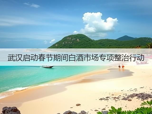 武汉启动春节期间白酒市场专项整治行动(图4)