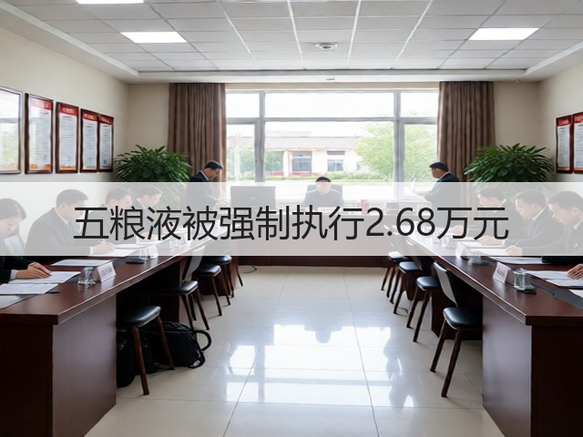五粮液被强制执行2.68万元(图4)