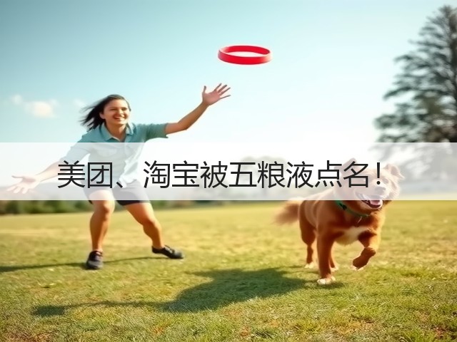 美团、淘宝被五粮液点名！(图2)