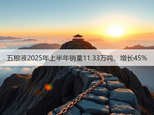 五粮液2025年上半年销量11.33万吨，增长45%(图4)