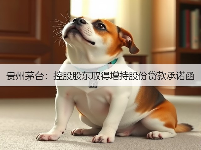 贵州茅台：控股股东取得增持股份贷款承诺函(图4)