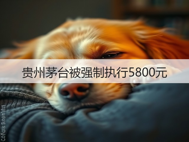 贵州茅台被强制执行5800元(图4)