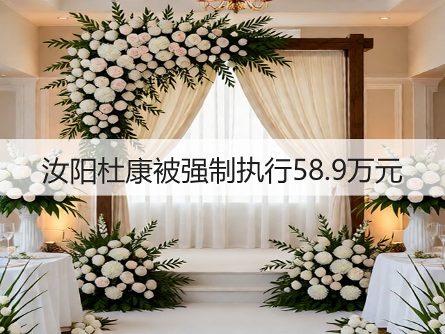 汝阳杜康被强制执行58.9万元(图5)