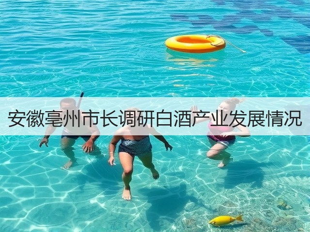 安徽亳州市长调研白酒产业发展情况(图2)