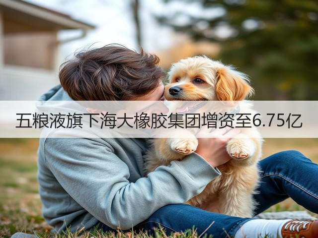 五粮液旗下海大橡胶集团增资至6.75亿(图1)