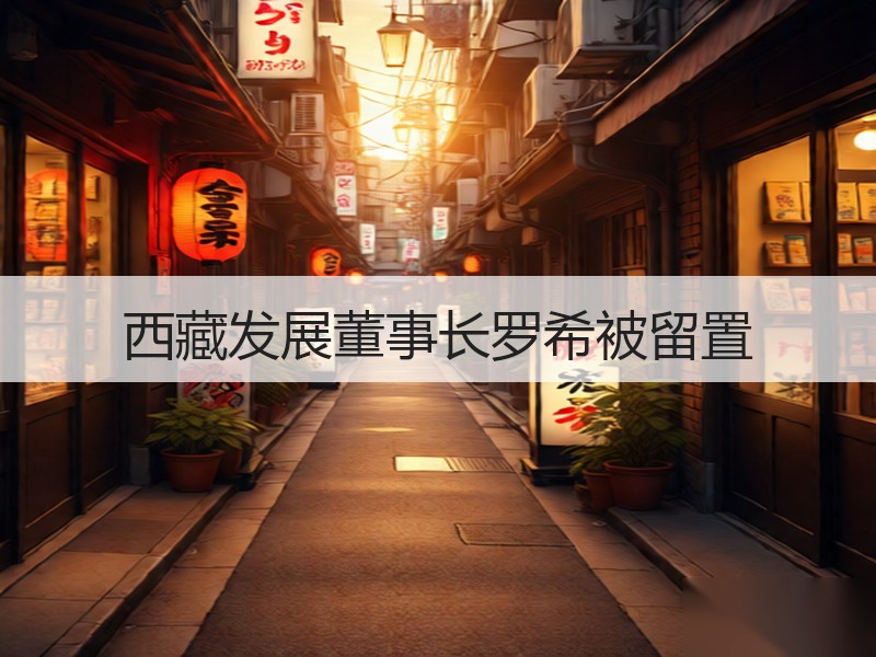 西藏发展董事长罗希被留置