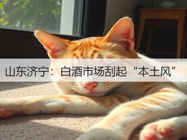 山东济宁：白酒市场刮起“本土风”(图2)