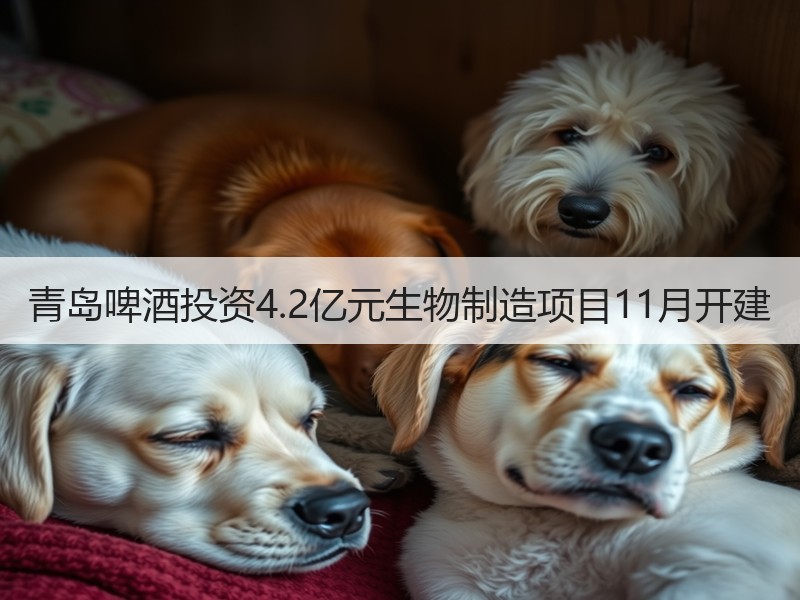 青岛啤酒投资4.2亿元生物制造项目11月