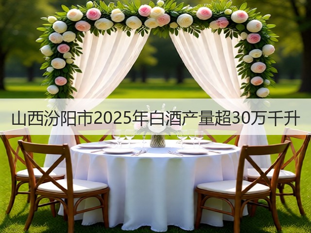 山西汾阳市2025年白酒产量超30万千升(图1)