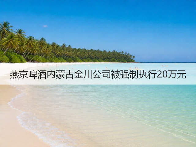 燕京啤酒内蒙古金川公司被强制执行20万元(图5)