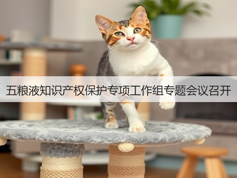 五粮液知识产权保护专项工作组专题会议召开