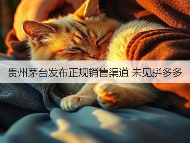 贵州茅台发布正规销售渠道 未见拼多多(图4)