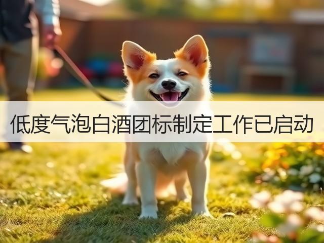 低度气泡白酒团标制定工作已启动(图4)