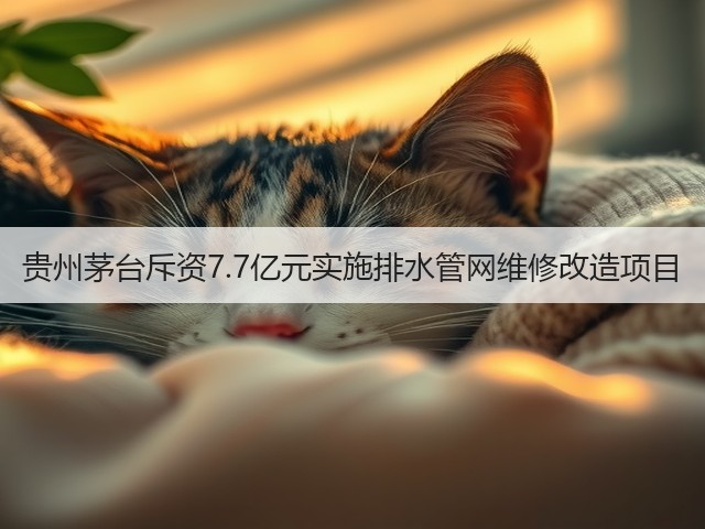 贵州茅台斥资7.7亿元实施排水管网维修改造项目(图2)