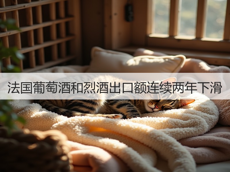 法国葡萄酒和烈酒出口额连续两年下滑