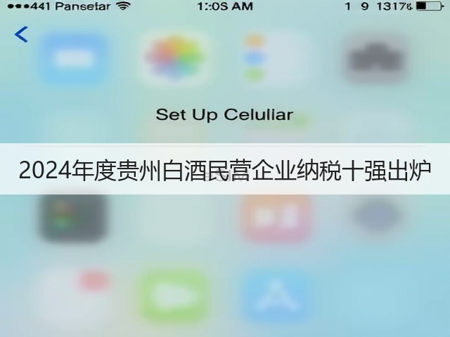 2024年度贵州白酒民营企业纳税十强出炉(图1)