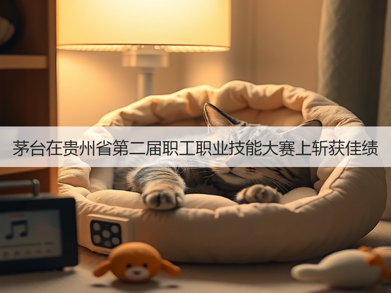 茅台在贵州省第二届职工职业技能大赛上斩获
