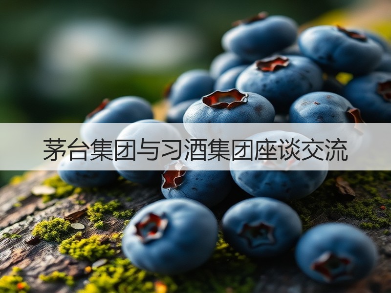 茅台集团与习酒集团座谈交流