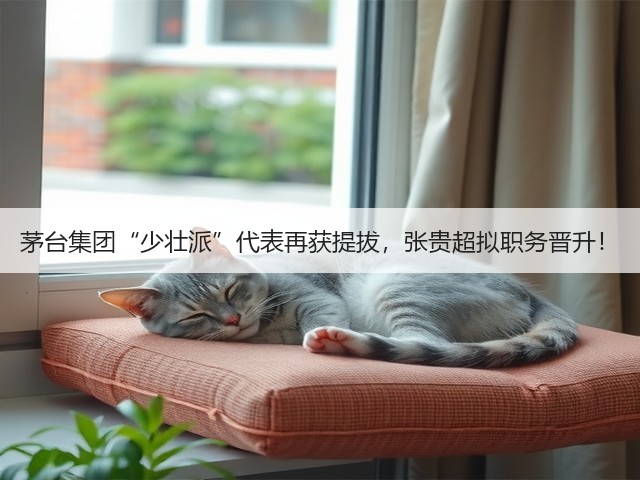 茅台集团“少壮派”代表再获提拔，张贵超拟职务晋升！(图3)