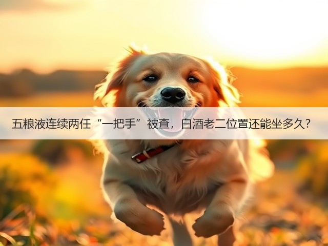 五粮液连续两任“一把手”被查，白酒老二位置还能坐多久？(图2)