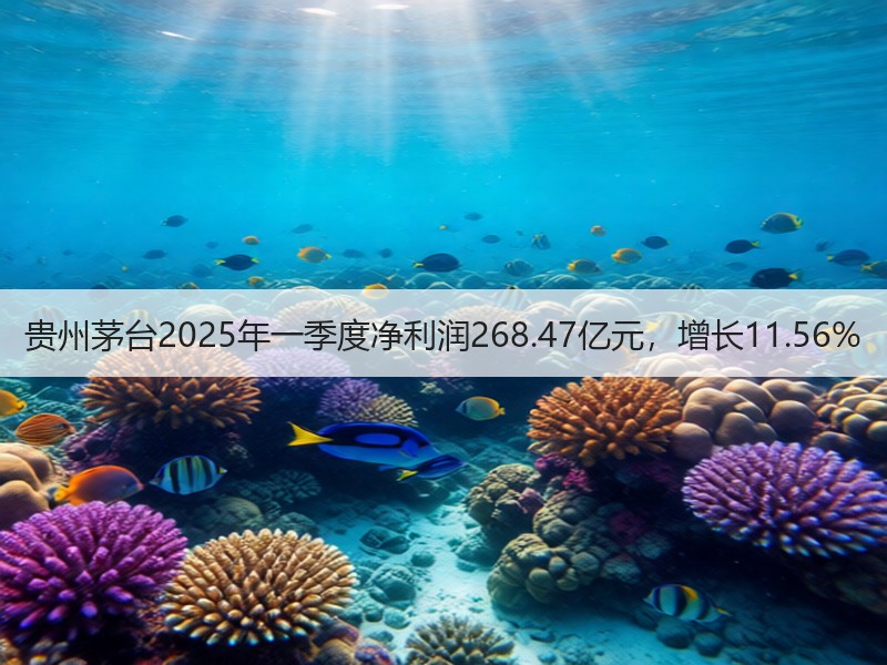 贵州茅台2025年一季度净利润268.4