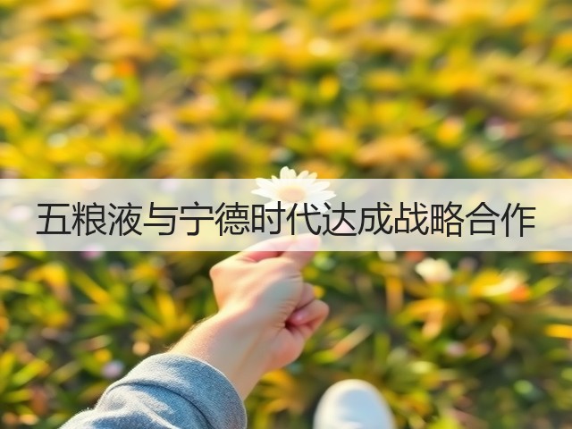 五粮液与宁德时代达成战略合作(图4)