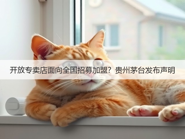 开放专卖店面向全国招募加盟？贵州茅台发布声明(图5)