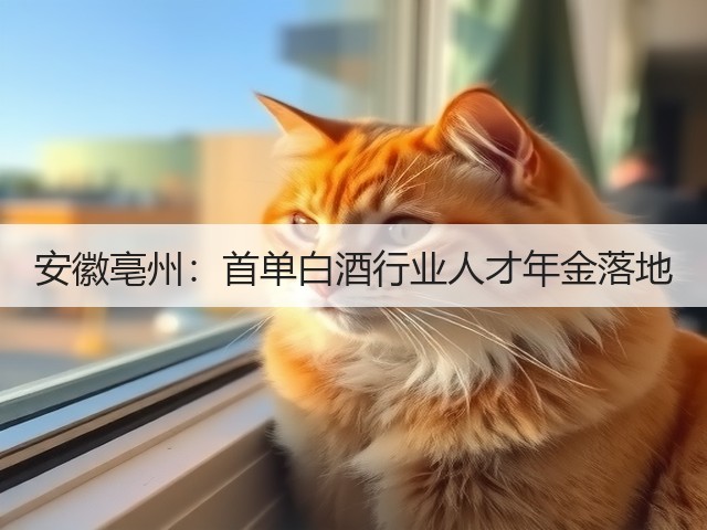安徽亳州：首单白酒行业人才年金落地(图1)