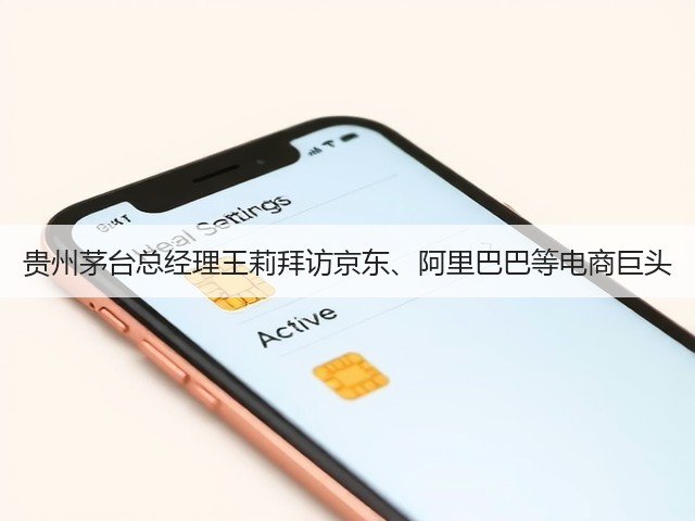 贵州茅台总经理王莉拜访京东、阿里巴巴等电商巨头(图4)