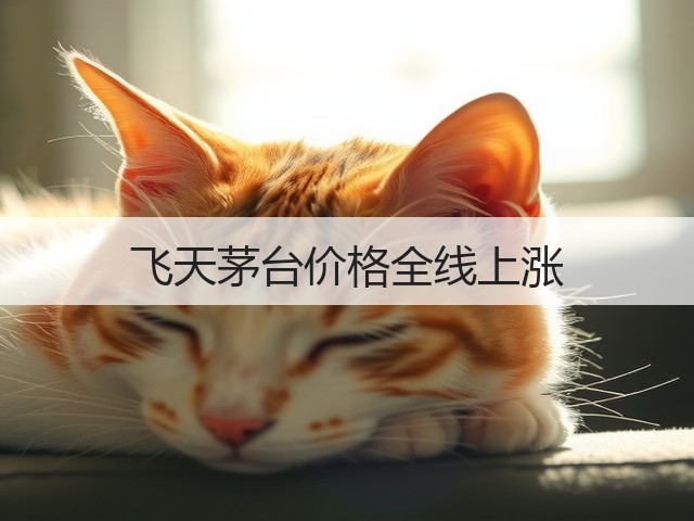 飞天茅台价格全线上涨(图2)