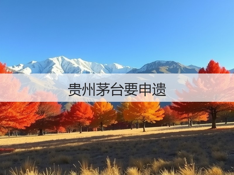 贵州茅台要申遗
