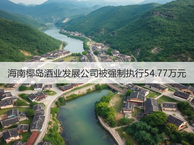 海南椰岛酒业发展公司被强制执行54.77万元(图1)