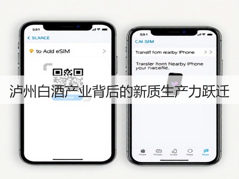 泸州白酒产业背后的新质生产力跃迁