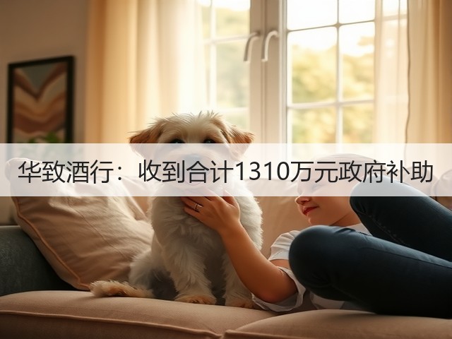 华致酒行：收到合计1310万元政府补助(图5)