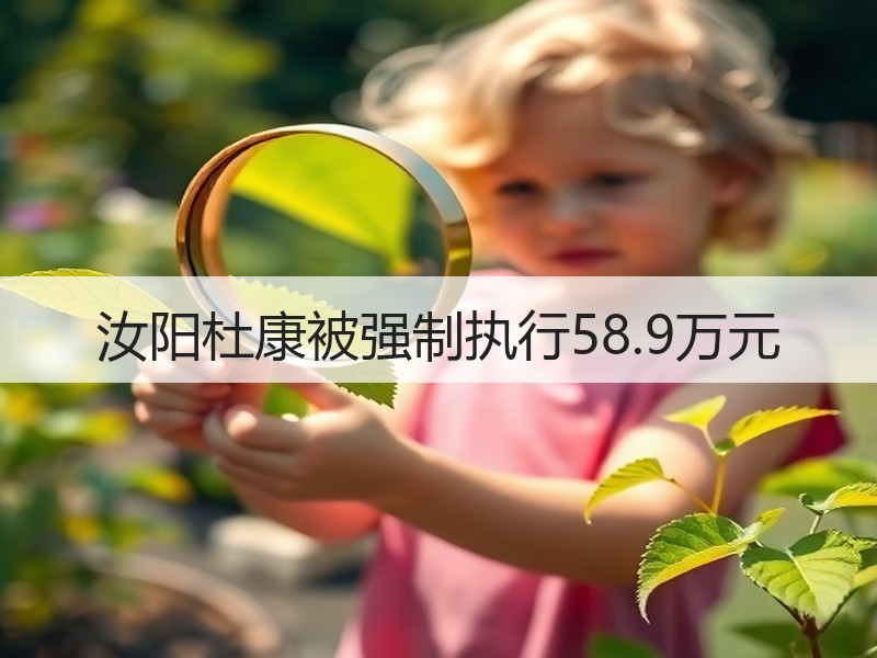汝阳杜康被强制执行58.9万元