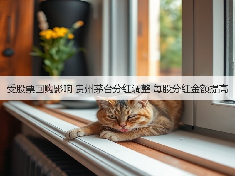 受股票回购影响 贵州茅台分红调整 每股分