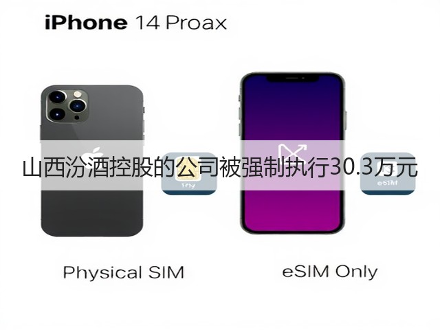 山西汾酒控股的公司被强制执行30.3万元(图1)