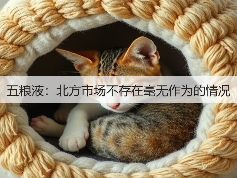 五粮液：北方市场不存在毫无作为的情况