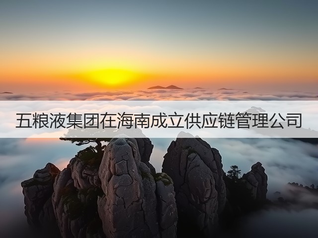 五粮液集团在海南成立供应链管理公司(图4)