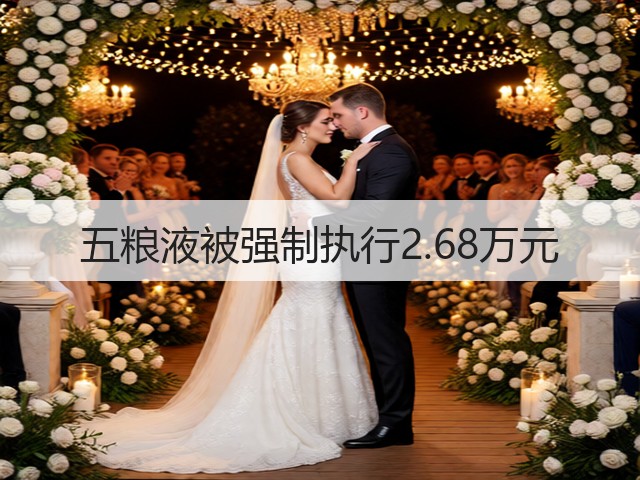 五粮液被强制执行2.68万元(图2)