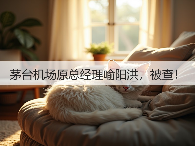 茅台机场原总经理喻阳洪，被查！