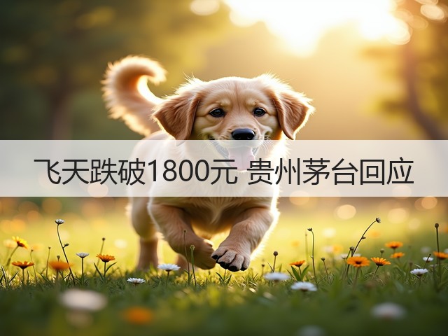 飞天跌破1800元 贵州茅台回应(图5)