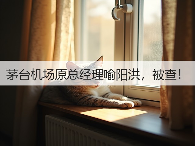 茅台机场原总经理喻阳洪，被查！(图5)