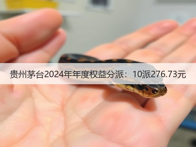 贵州茅台2024年年度权益分派：10派276.73元(图1)