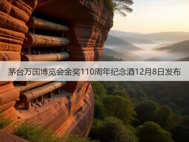茅台万国博览会金奖110周年纪念酒12月